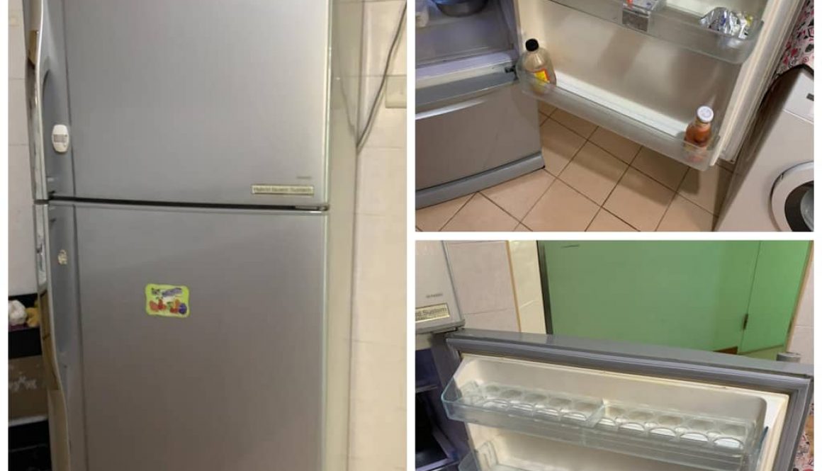Supply And Replace Fridge Gasket 4
