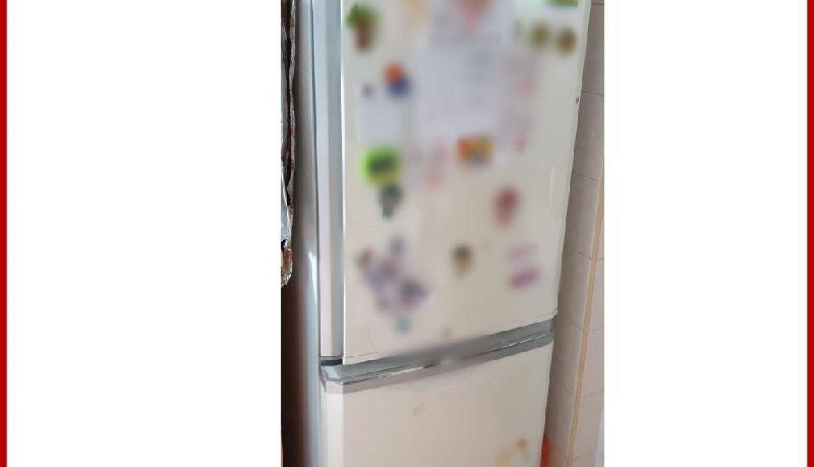 Fridge Troubleshooting At Segar Road
